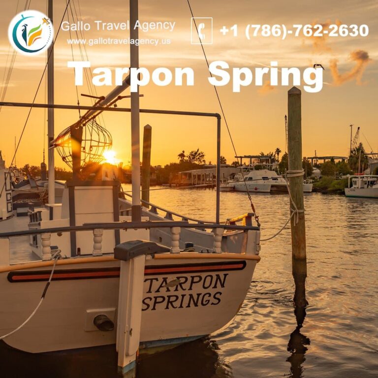 cosas que hacer en tarpon springs