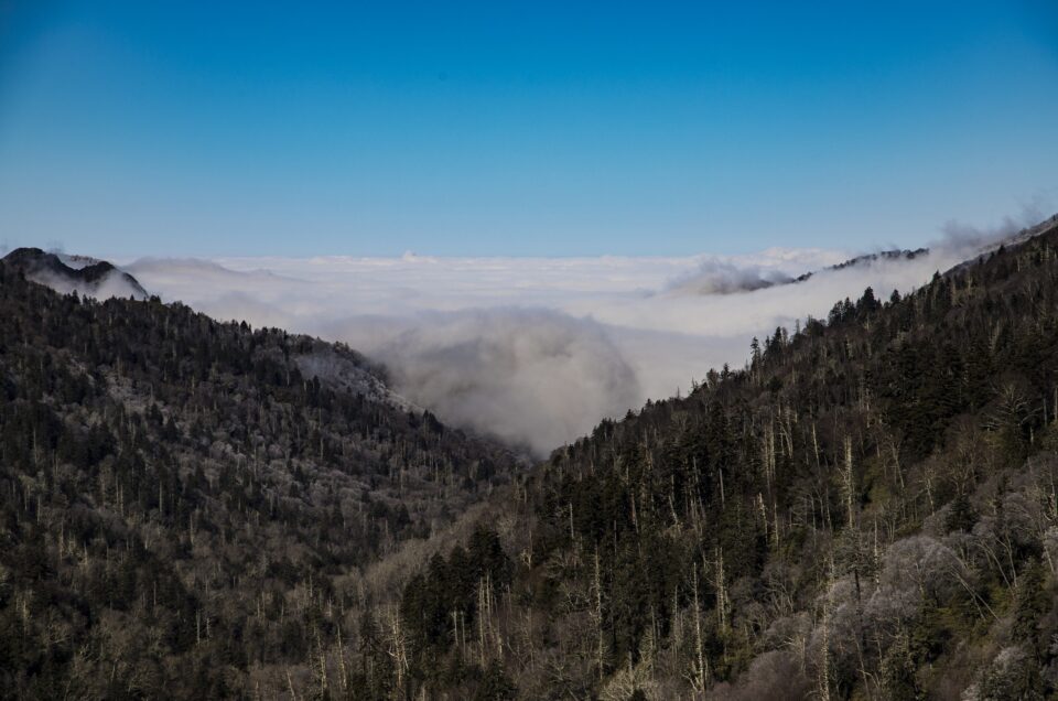 viaje a Smokey Mountains desde Miami  